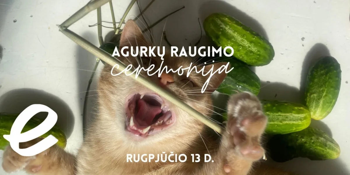 Agurkų raugimo ceremonija