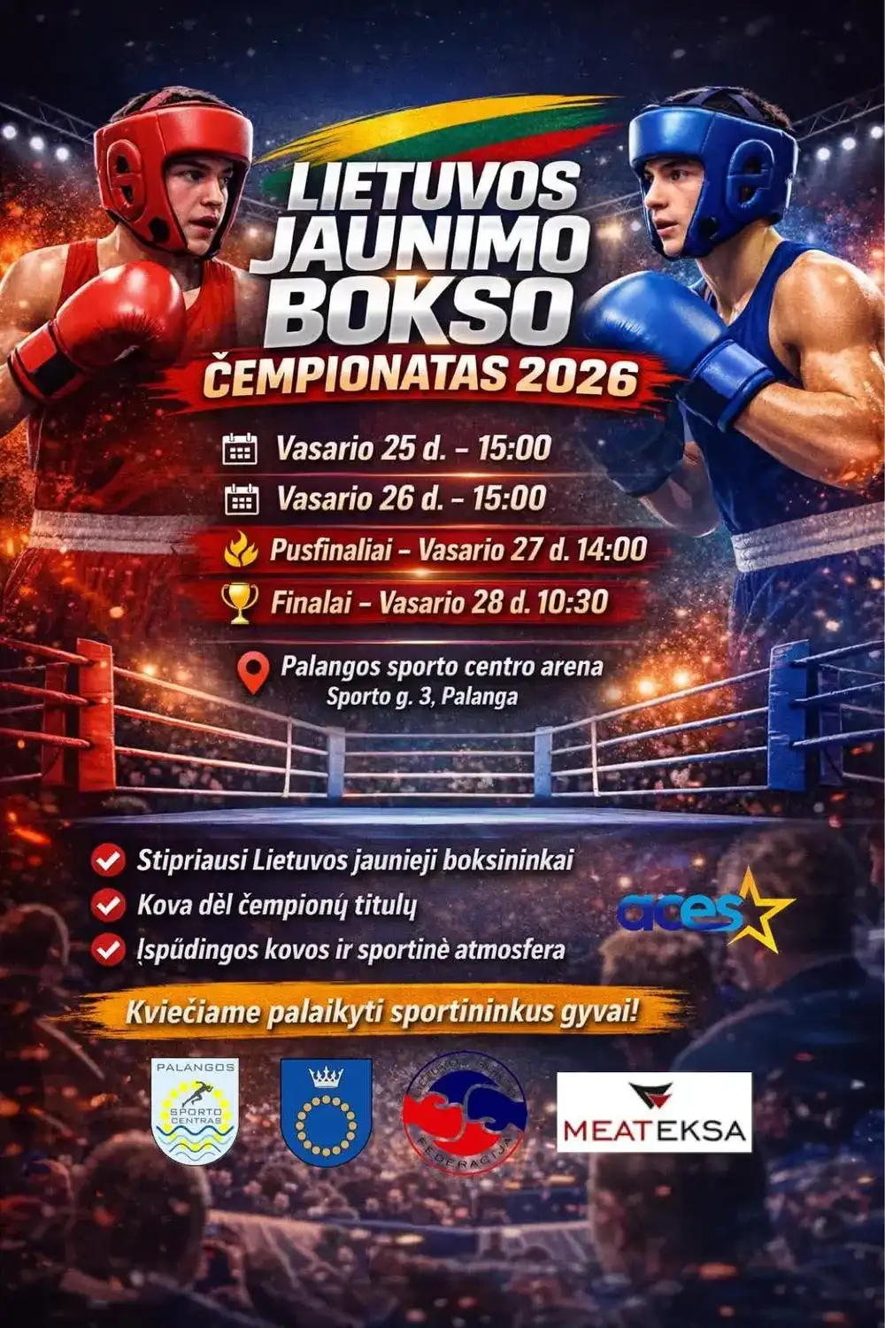 Lietuvos jaunimo bokso čempionatas 2026