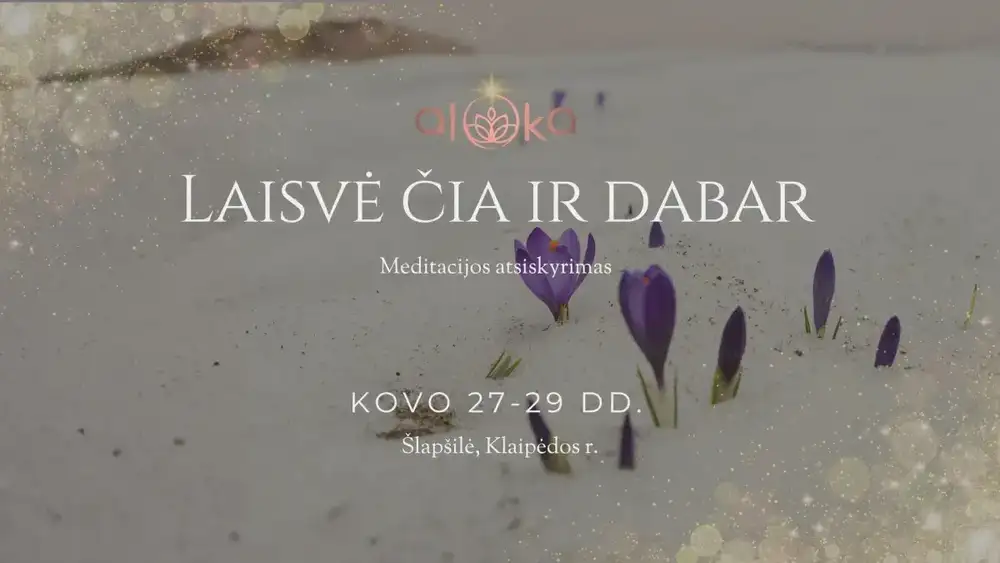 Medicitacijos atskyrimas "Laisvė čia ir dabar"