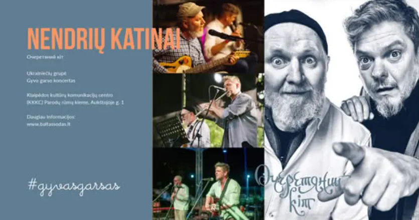 Nendrių katinai Klaipėdoje