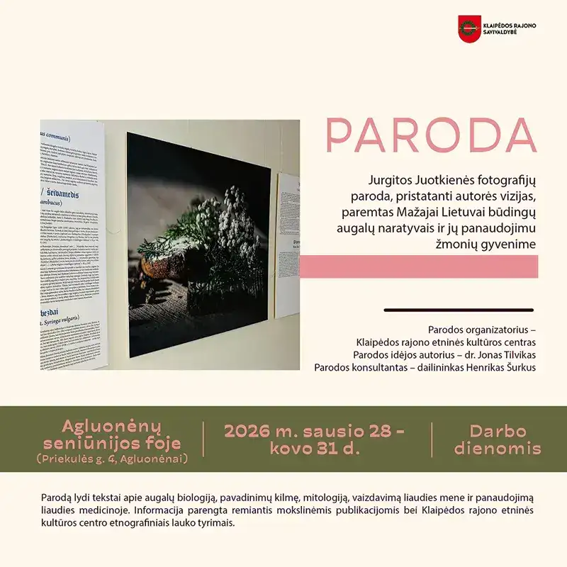 Paroda Agluonėnuose