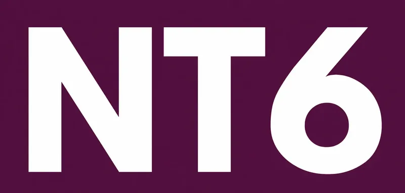 NT6 - Agentūra logotipas