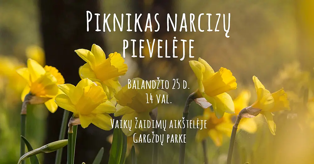Piknikas narcizų pievelėje