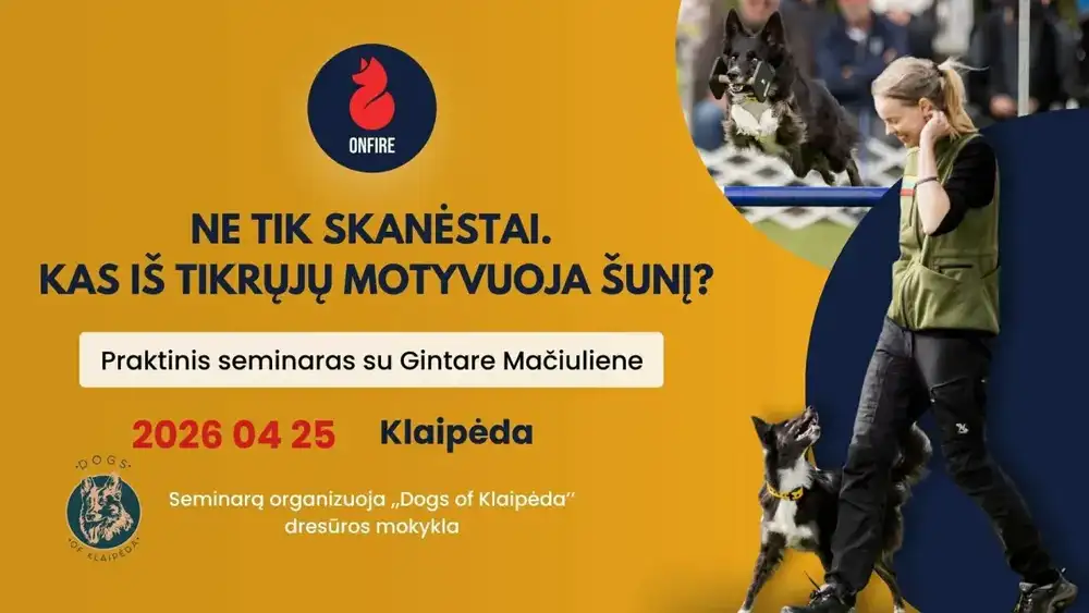 Praktinis seminaras Klaipėdoje su  Gintare Mačiuliene
