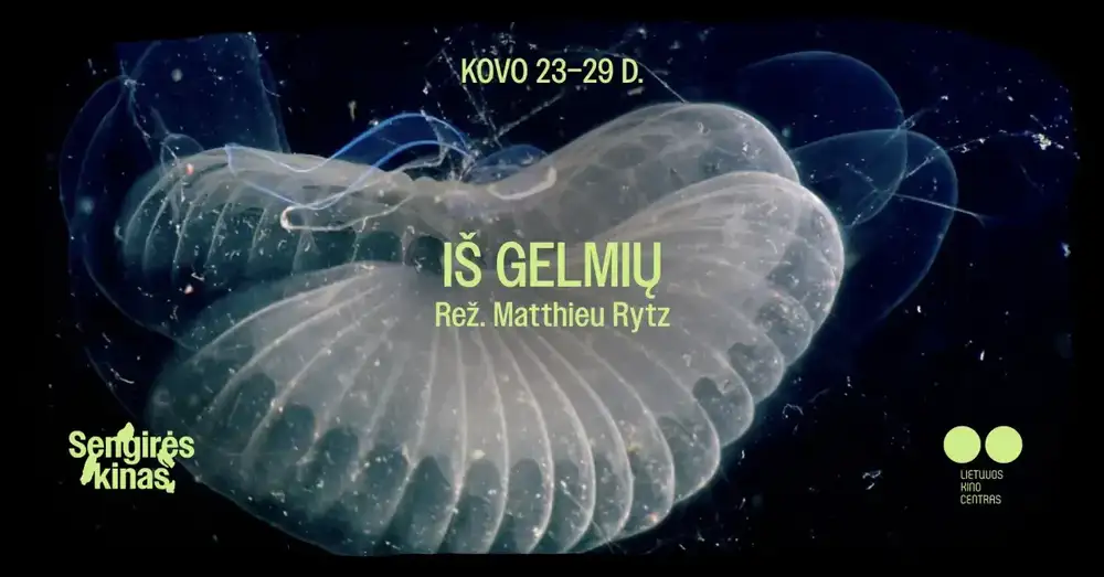 SENGIRĖS KINAS - IŠ GELMIŲ! GARGŽDAI