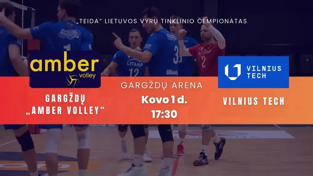 TEIDA Lietuvos vyrų tinklinio čempionatas